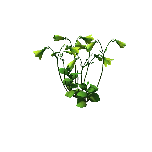 Flower_Linnaea borealis5